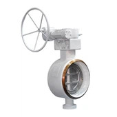 Eksantrik Kelebek Vana